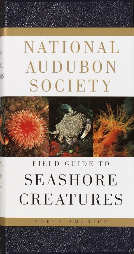 National Audubon Society Field Guide to Seashore Creatures: North America (National Audubon Society Field Guides) cover image