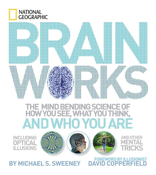 Brainworks: The Mind-bending Science of How You See, What You Think, and Who You Are cover image