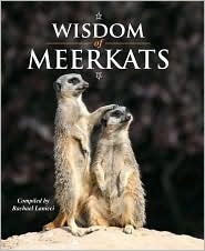 Wisdom of Meerkats cover image